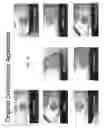 Fig. 26 - Rearview mirror assembly for vehicle
