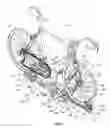 Fig. 02 - BIKE CARRIER