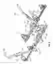 Fig. 07 - BIKE CARRIER