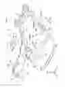 Fig. 06 - VEHICLE FRONT SECTION STRUCTURE