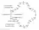 Fig. 01 - Twelve-cornered strengthening member, assemblies including a twelve-cornered strengthening member, and methods of manufacturing and joining the same