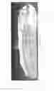 Fig. 14 - BILTMORE PONTOON BOAT