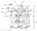 Fig. 01 - INFLATABLE VEST WITH REPOSITIONABLE COLLAR