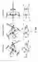 Fig. 03 - High maneuverability steering system for work boats and other watercraft
