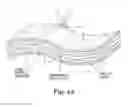 Fig. 05 - Rotary propeller drone with integrated power storage