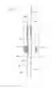 Fig. 12 - Platen web splicer apparatus and method