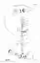 Fig. 07 - Beverage dispenser having liquid level gauge