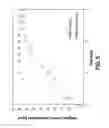 Fig. 05 - Method and system for enhancing the mass transfer rate of a soluble gas