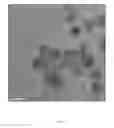 Fig. 06 - SOLUTION BASED SYNTHESIS OF COPPER-ARSENIC-CHALCOGEN NANOPARTICLES