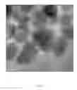 Fig. 07 - SOLUTION BASED SYNTHESIS OF COPPER-ARSENIC-CHALCOGEN NANOPARTICLES