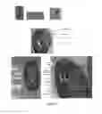 Fig. 04 - NOVEL RADIORESISTANT ALGA OF THE GENUS COCCOMYXA