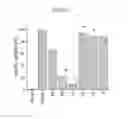 Fig. 05 - Amphiphilic macromolecules and methods of use thereof