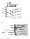 Fig. 08 - Amidopyridinol derivative or pharmaceutically acceptable salt thereof and pharmaceutical composition comprising same as active component