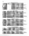Fig. 10 - Amidopyridinol derivative or pharmaceutically acceptable salt thereof and pharmaceutical composition comprising same as active component