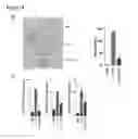 Fig. 06 - Flavonoid IL-17A inhibitors