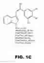 Fig. 03 - Combretastatin analogs