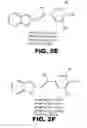 Fig. 06 - Combretastatin analogs