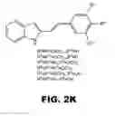 Fig. 09 - Combretastatin analogs