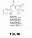Fig. 16 - Combretastatin analogs