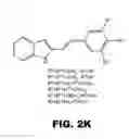 Fig. 22 - Combretastatin analogs