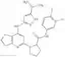 Fig. 124 - Fused pyrimidine compounds and use thereof
