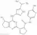 Fig. 129 - Fused pyrimidine compounds and use thereof