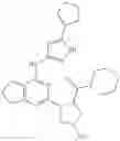 Fig. 172 - Fused pyrimidine compounds and use thereof