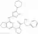 Fig. 237 - Fused pyrimidine compounds and use thereof