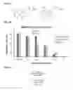 Fig. 08 - 5-BROMO-INDIRUBINS