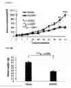 Fig. 12 - 5-BROMO-INDIRUBINS