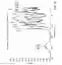 Fig. 14 - SOLID STATE FORMS OF VEMURAFENIB AND VEMURAFENIB SALTS