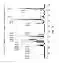 Fig. 17 - SOLID STATE FORMS OF VEMURAFENIB AND VEMURAFENIB SALTS