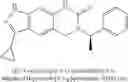 Fig. 162 - Compounds that are ERK inhibitors