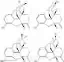 Fig. 04 - Compounds for treatment of pain
