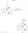 Fig. 13 - Compounds for treatment of pain
