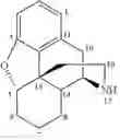 Fig. 03 - 7 beta-substituted 6a, 14a-ethenomorphinans and 7beta-substituted 6a, 14a-ethanomorphinans