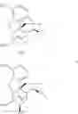 Fig. 28 - 7 beta-substituted 6a, 14a-ethenomorphinans and 7beta-substituted 6a, 14a-ethanomorphinans