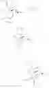 Fig. 37 - 7 beta-substituted 6a, 14a-ethenomorphinans and 7beta-substituted 6a, 14a-ethanomorphinans