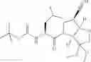 Fig. 43 - Protease inhibitors
