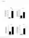 Fig. 06 - Enhanced osteogenic activity of daidzein analogs on human mesenchymal stem cells