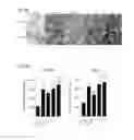 Fig. 12 - Enhanced osteogenic activity of daidzein analogs on human mesenchymal stem cells