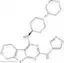 Fig. 83 - IRAK inhibitors and uses thereof