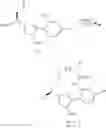 Fig. 100 - Macrocycles as factor XIa inhibitors