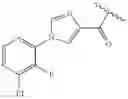 Fig. 173 - Macrocycles as factor XIa inhibitors