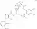 Fig. 27 - Macrocycles as factor XIa inhibitors
