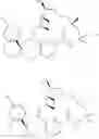 Fig. 175 - Compounds that inhibit MCL-1 protein