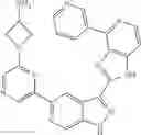 Fig. 1003 - 3-(1h-imidazo[4,5-C]pyridin-2-yl)-1h-pyrazolo[3,4-C]pyridine and therapeutic uses thereof