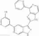 Fig. 1046 - 3-(1h-imidazo[4,5-C]pyridin-2-yl)-1h-pyrazolo[3,4-C]pyridine and therapeutic uses thereof