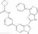 Fig. 131 - 3-(1h-imidazo[4,5-C]pyridin-2-yl)-1h-pyrazolo[3,4-C]pyridine and therapeutic uses thereof