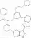 Fig. 1322 - 3-(1h-imidazo[4,5-C]pyridin-2-yl)-1h-pyrazolo[3,4-C]pyridine and therapeutic uses thereof